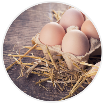 Eiwitrijk dieet, foto van eieren